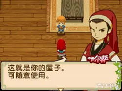 牧场物语双子村此花村全人物事件任务攻略