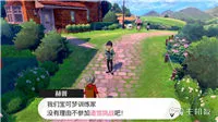 精灵宝可梦剑盾对战塔单人对打速刷队伍推荐