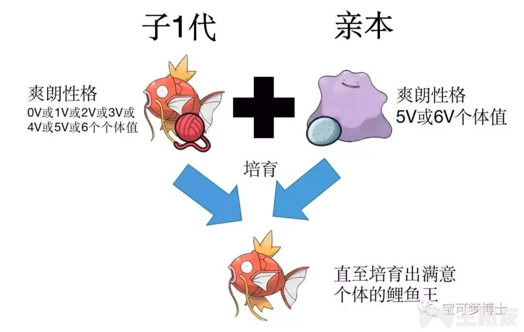 精灵宝可梦剑盾怎么孵蛋 教你怎么孵化出最强宝可梦