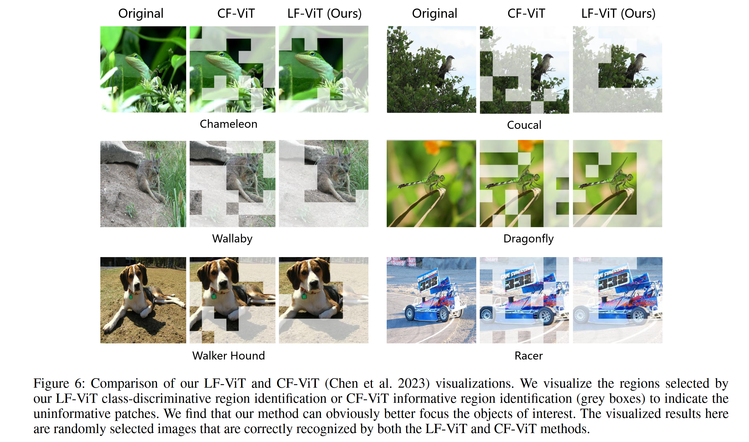 LF-ViT: Reducing Spatial Redundancy in Vision Transformer for Efficient ...