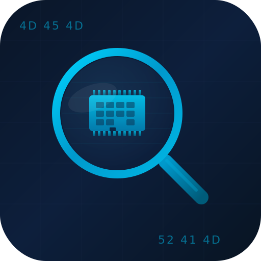 Memory forensics MCP