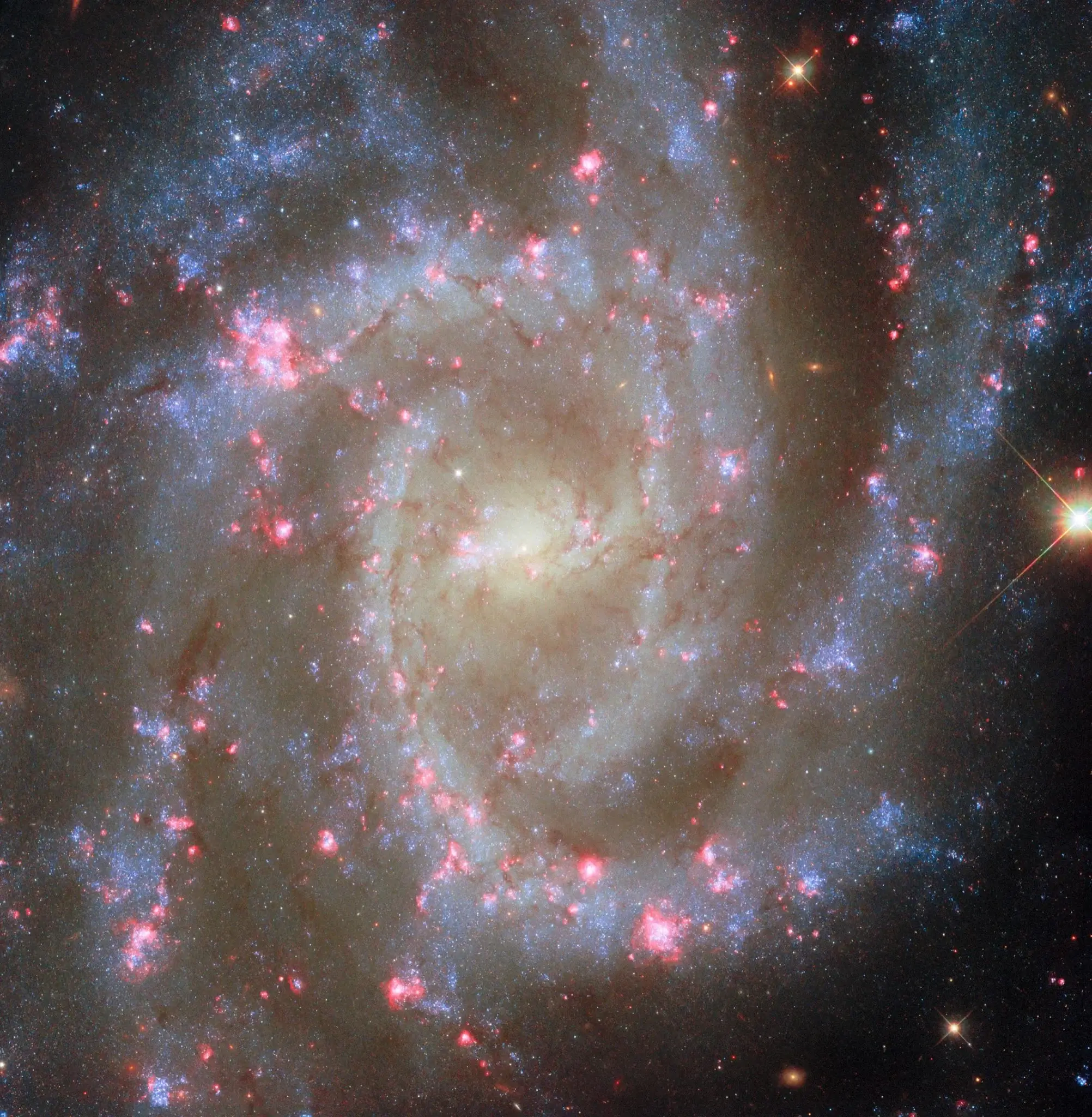 NGC 2835螺旋星系粉色星云