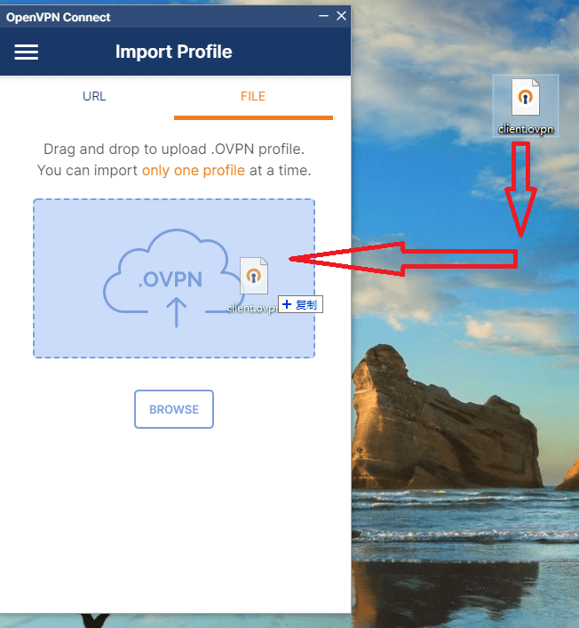 notion image