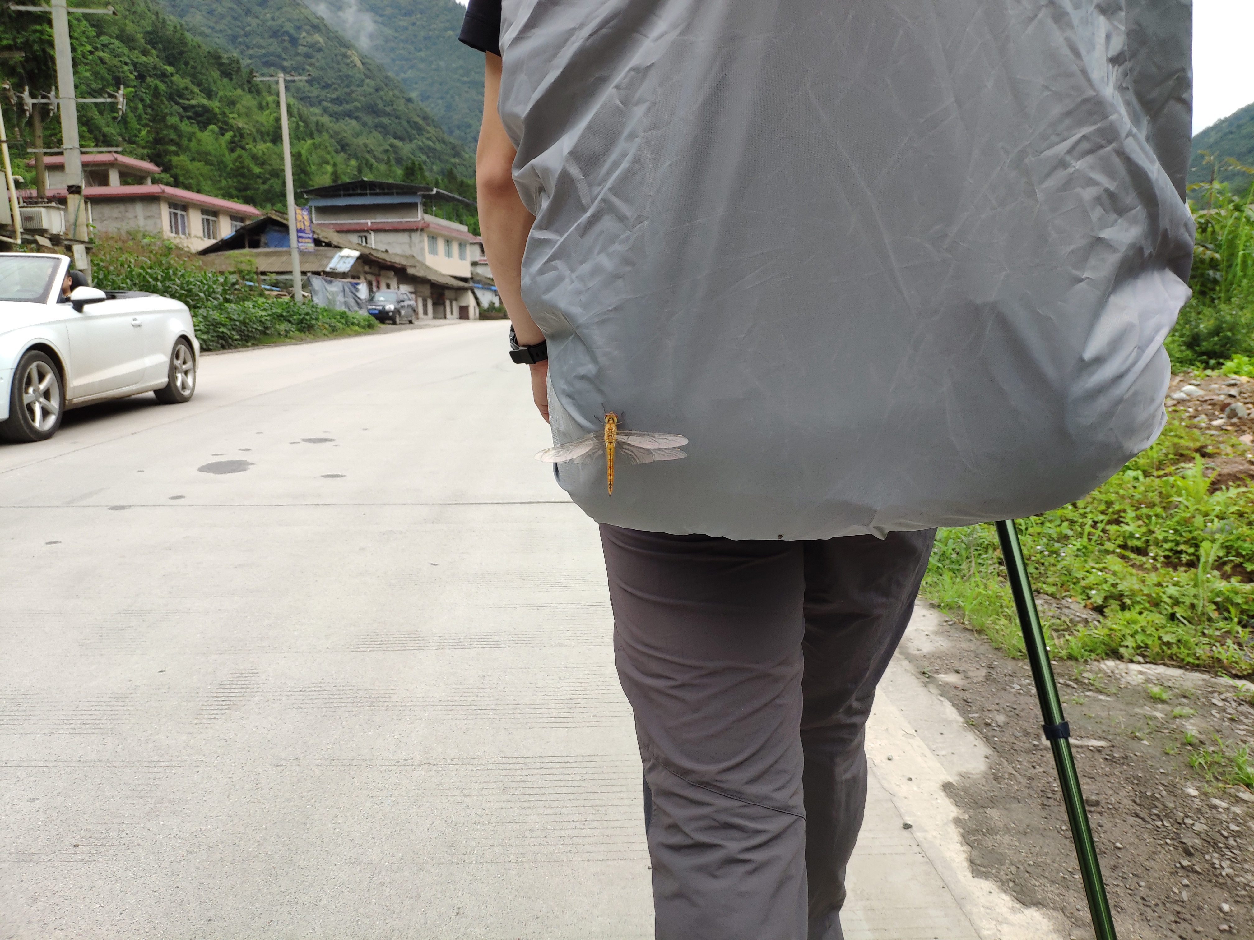 阿雨背包上的蜻蜓