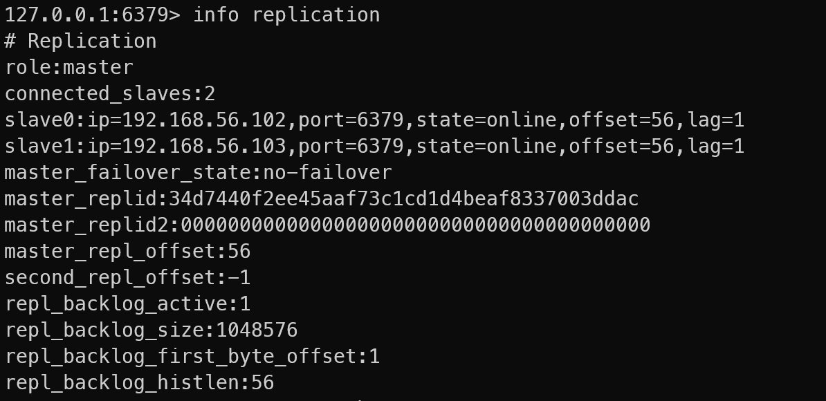 image-20241014203617999