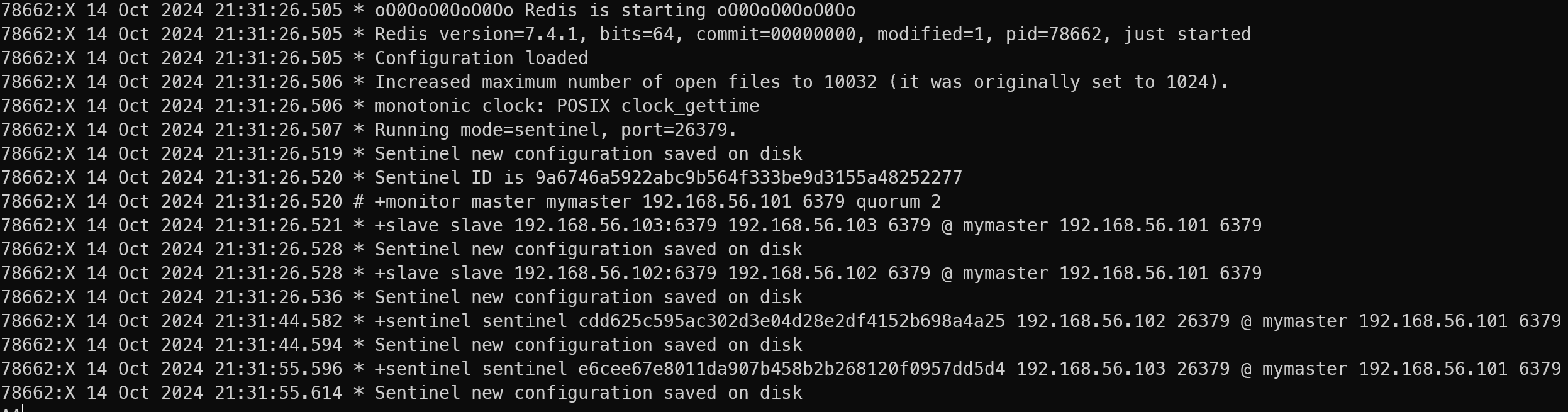 image-20241014213641945