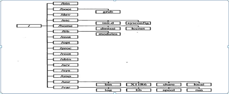操作系统入门-Linux目录树形结构