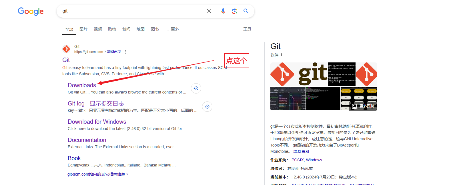演示图