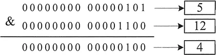 java-2-8.3rj3rmk3vma0