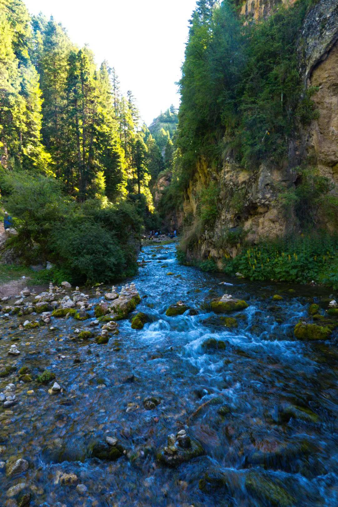 image-20250727142034806