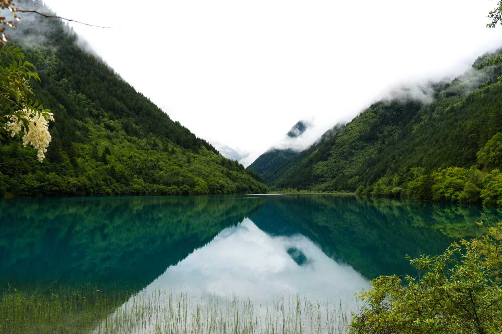 image-20250727145218451