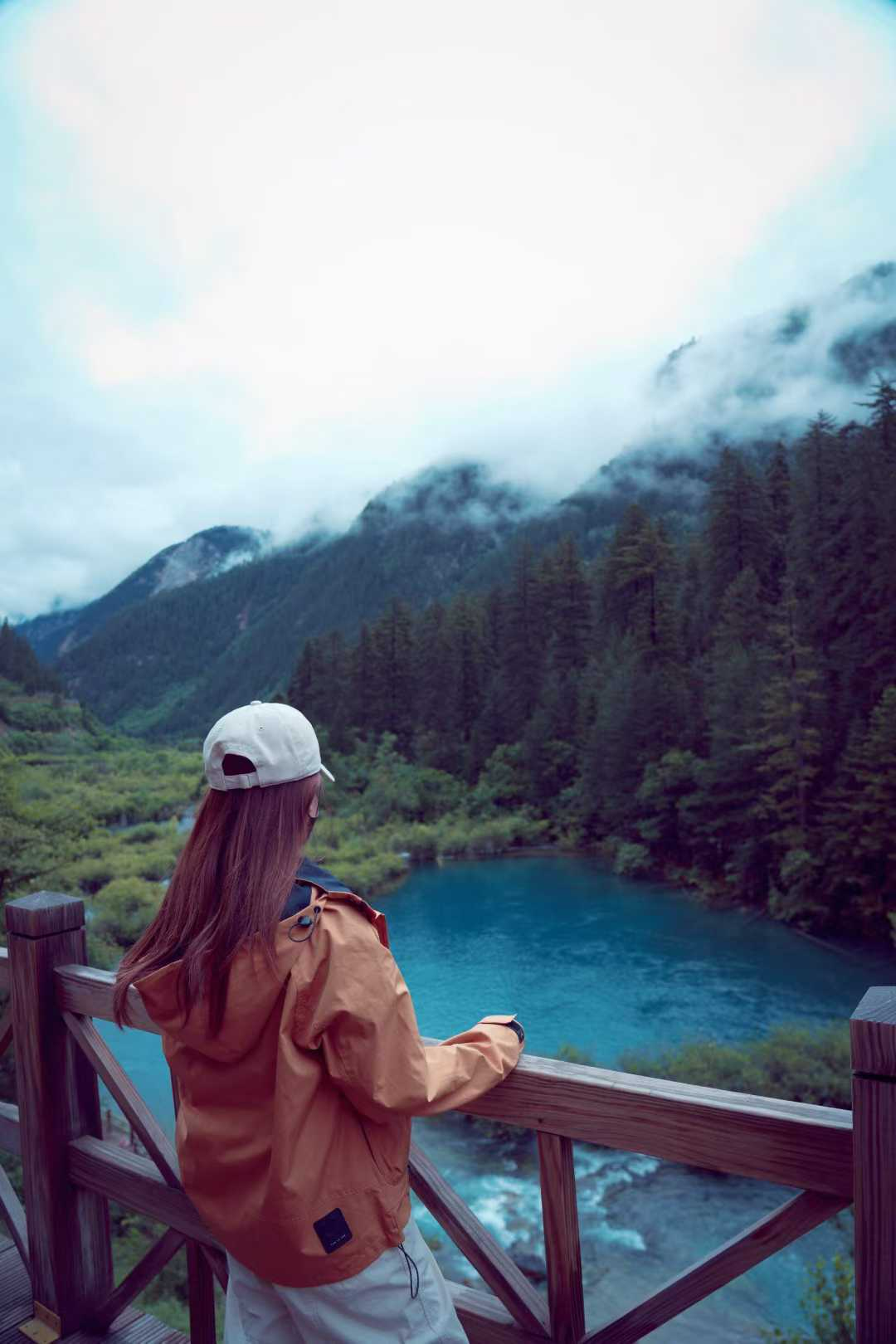 image-20250727145245429