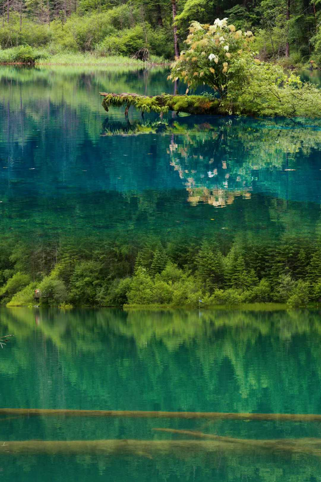image-20250727145425284
