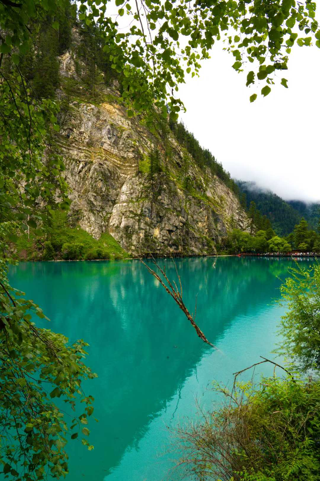 image-20250727145523345
