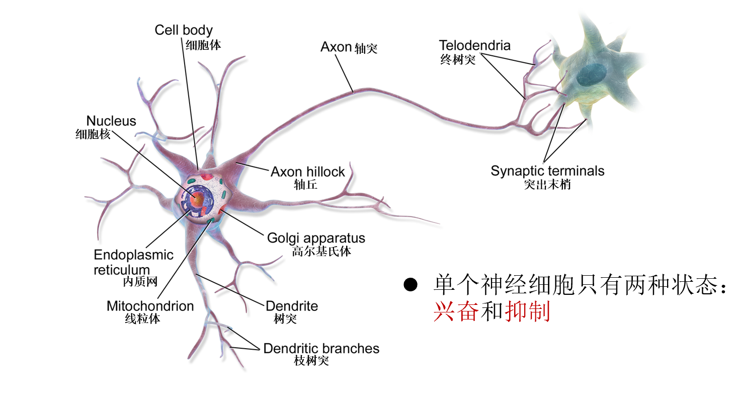 image-20230614201025232