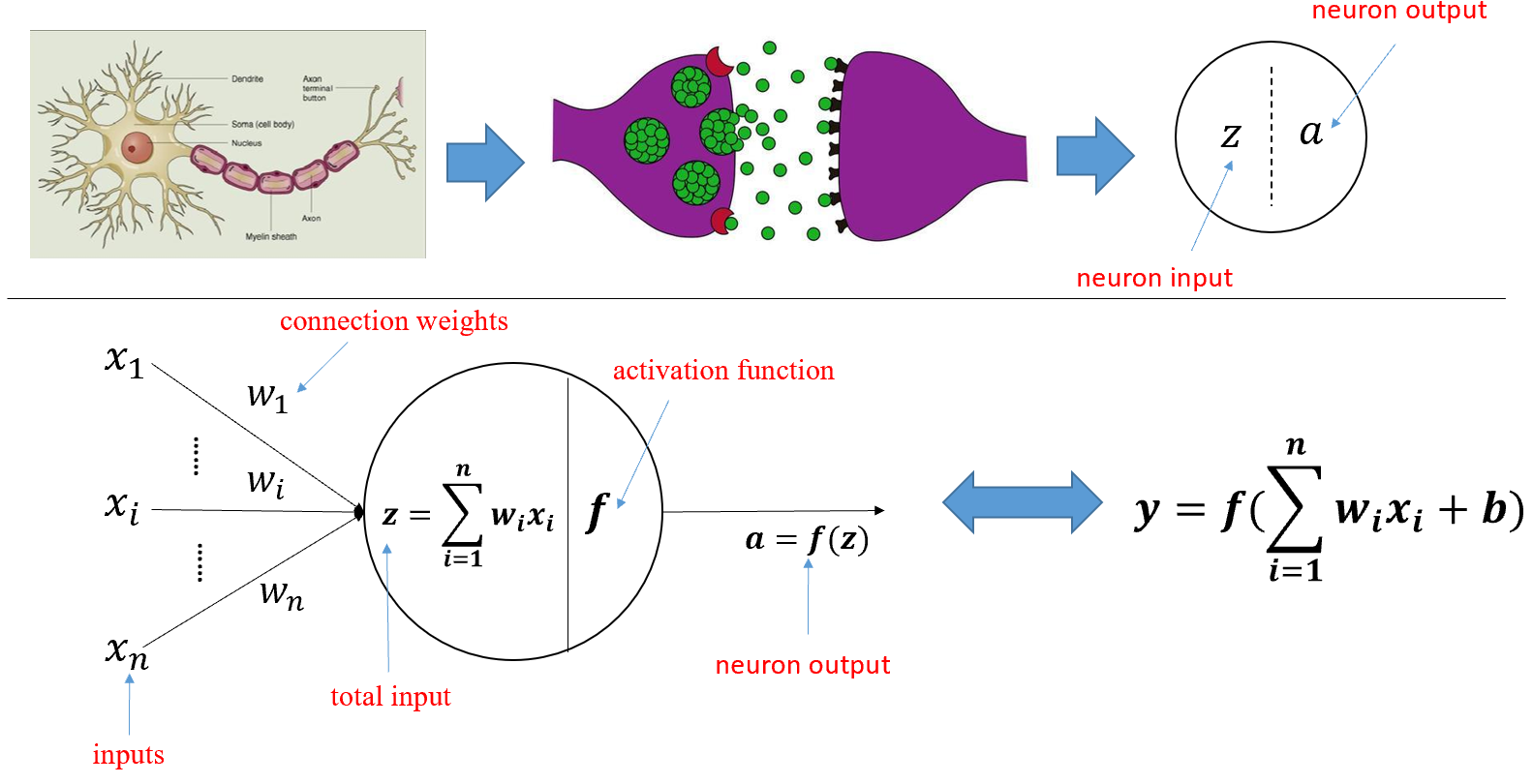 image-20230614202430527