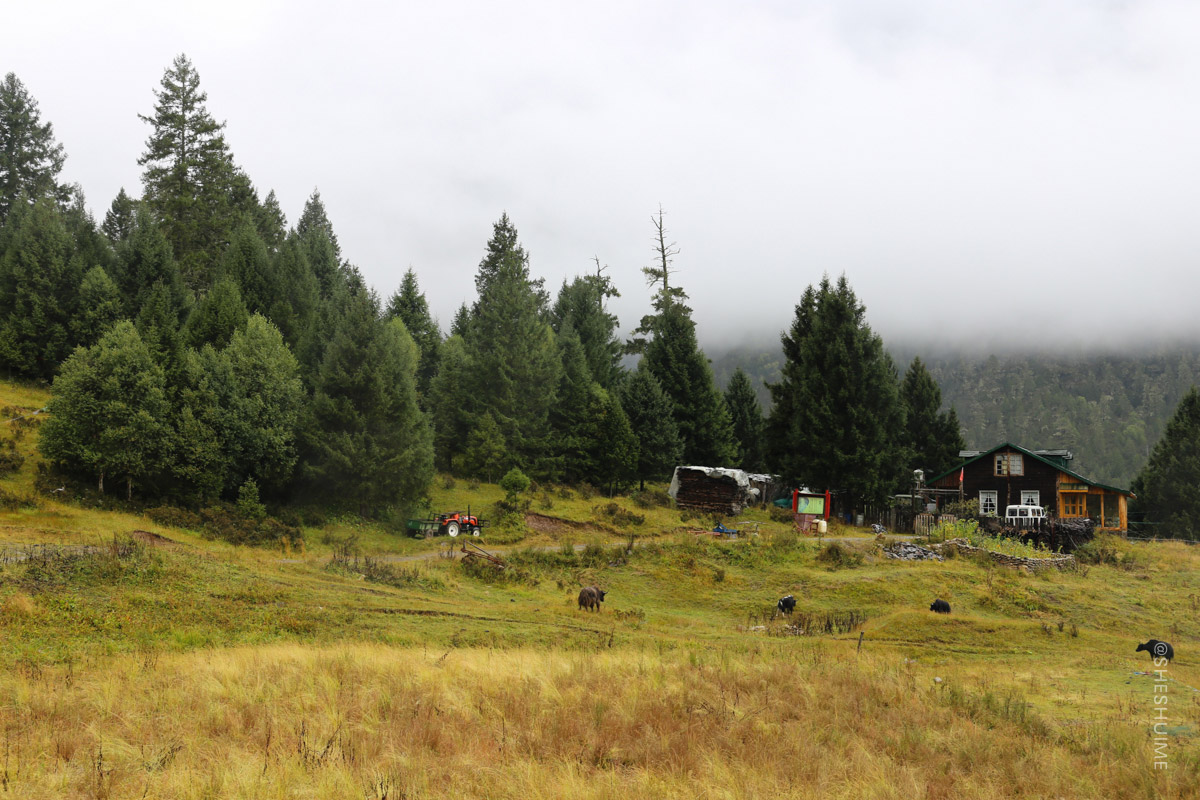 户外生存与战备手册:物资清单-概要版