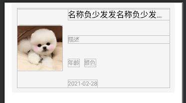 image-20210228114104764