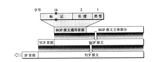 image-20210301112659615