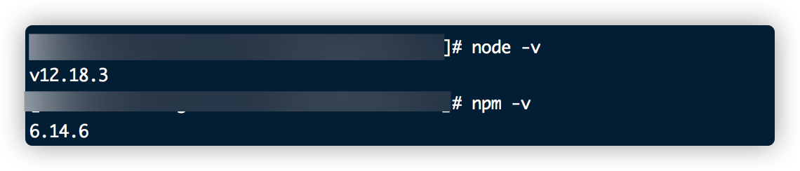 node -v