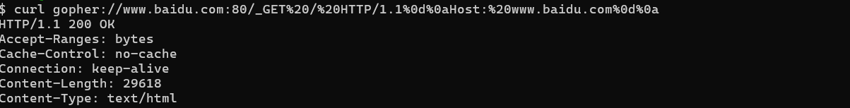 image-20241220104301881