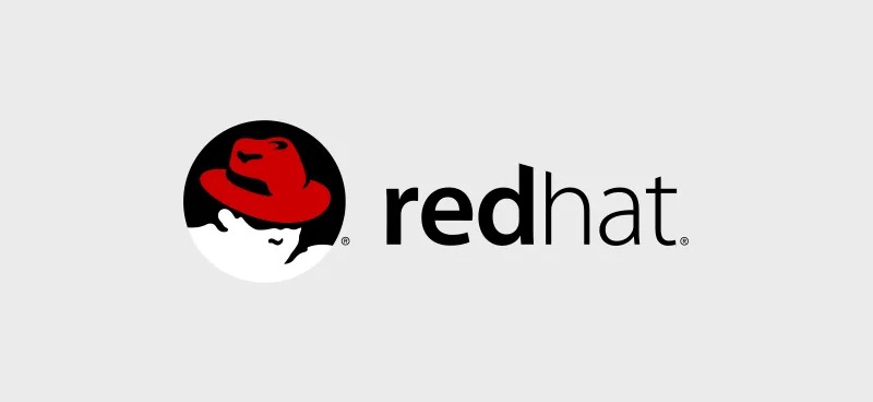 自 1999 年开始使用的 Red Hat Shadowman™ LOGO