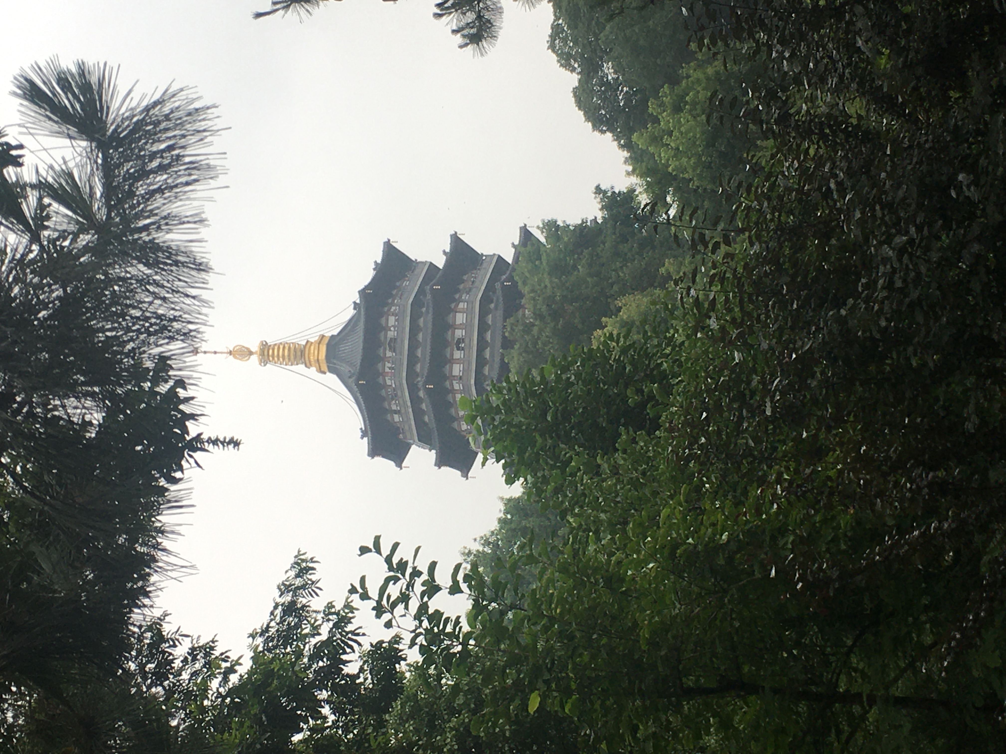 雷峰塔1