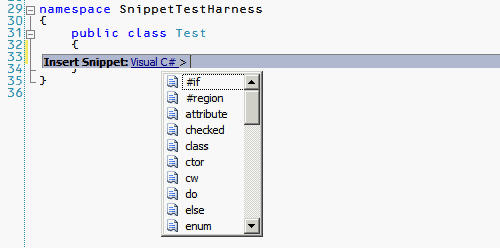 Figure 3: Available Snippets in Visual C#