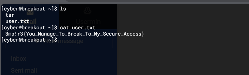 image-20240717122253483