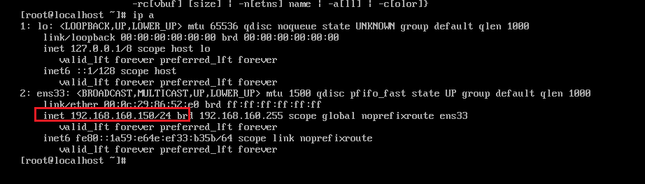 image-20241203135431876