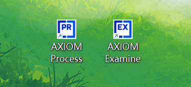 image-20250221100455528