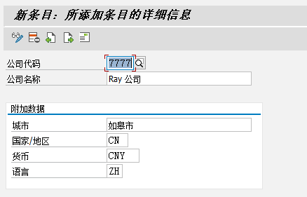 输入公司代码相关信息