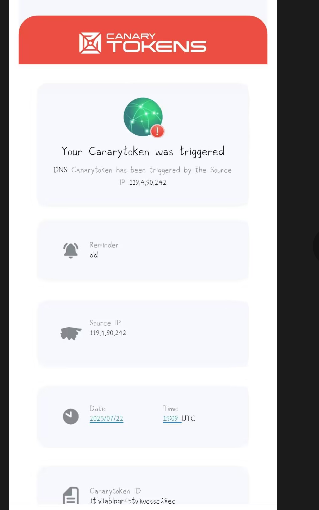 image-20250722231951054