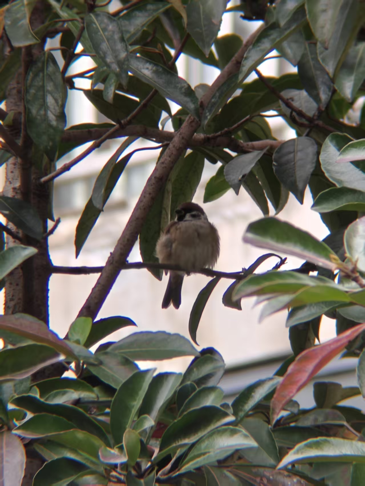 6f4378950cffcce226f2afeffec32023.jpg|320