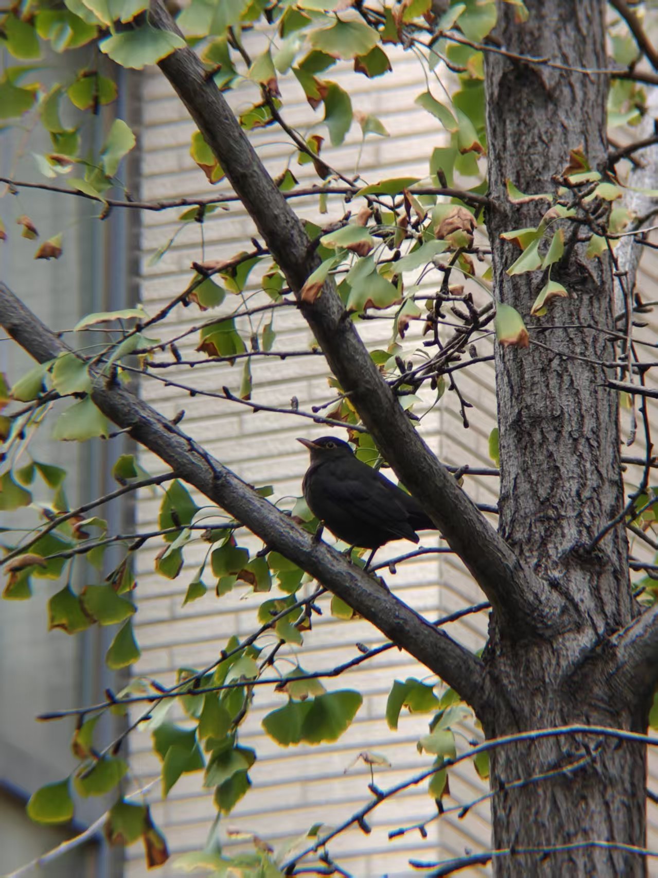 29af146fb0f9a4cd55530e4ed38e06eb.jpg|320