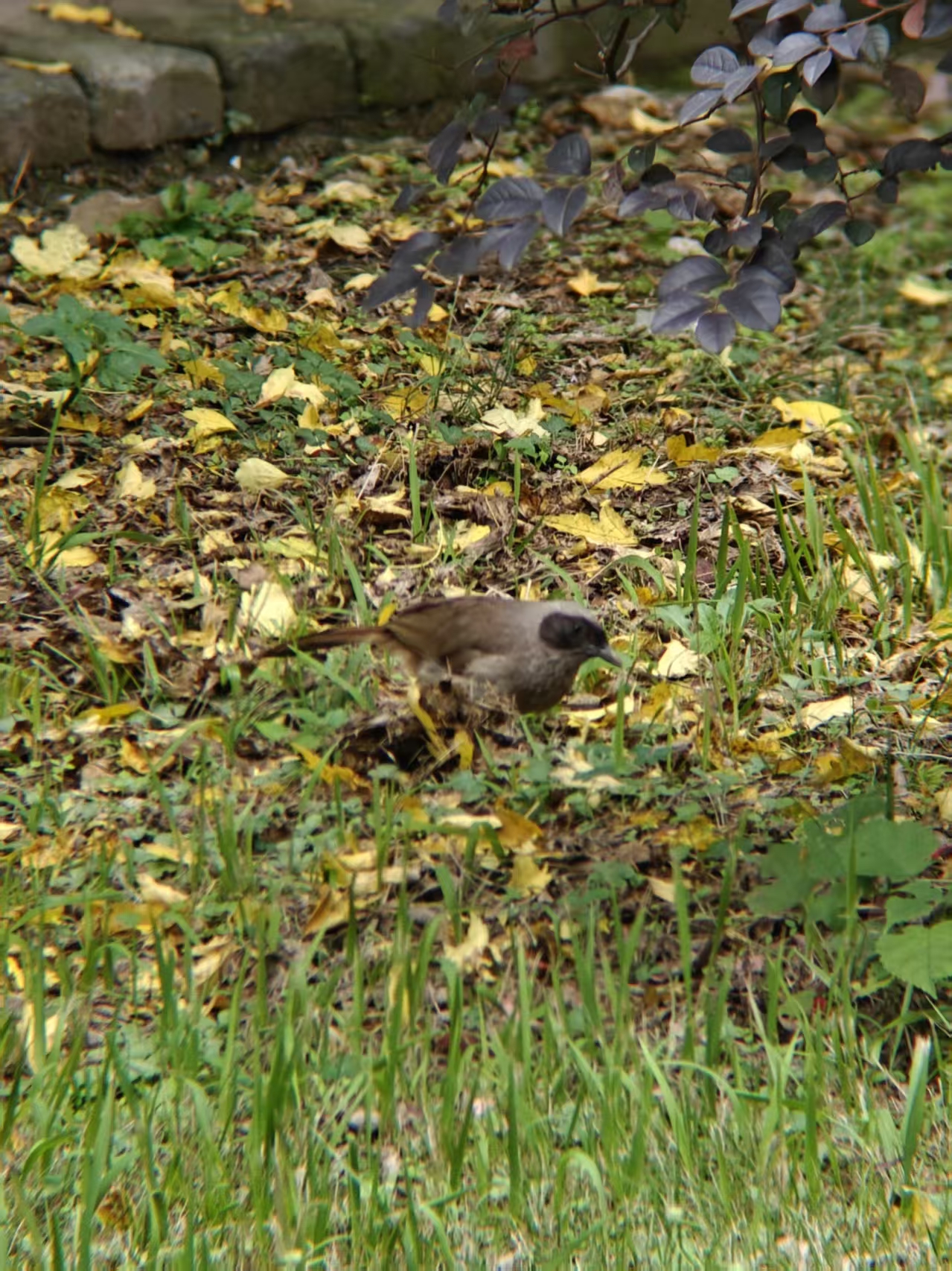 58ee79dc107d0e0b9b5ca45a1b961d14.jpg|320