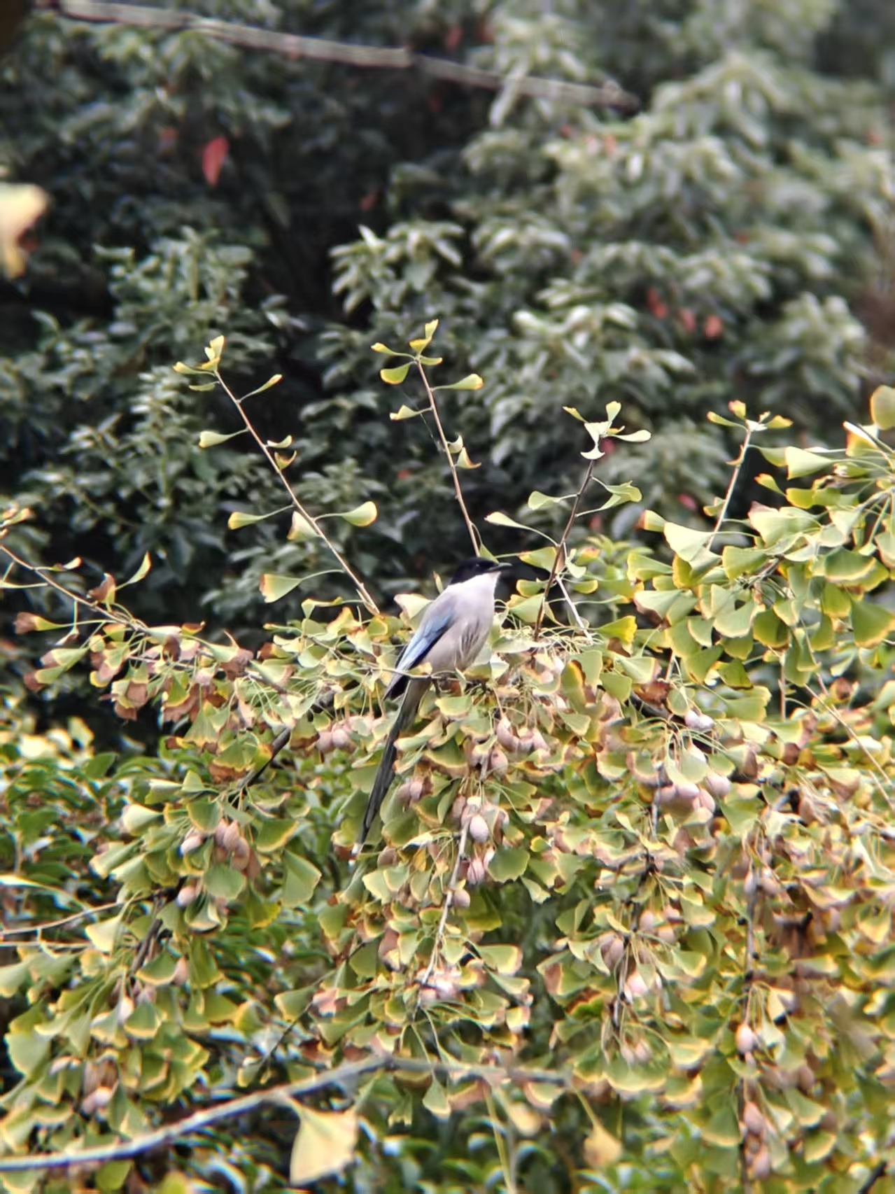 c47fd0580b0c53e4ea9dc8cd47fc0747.jpg|320