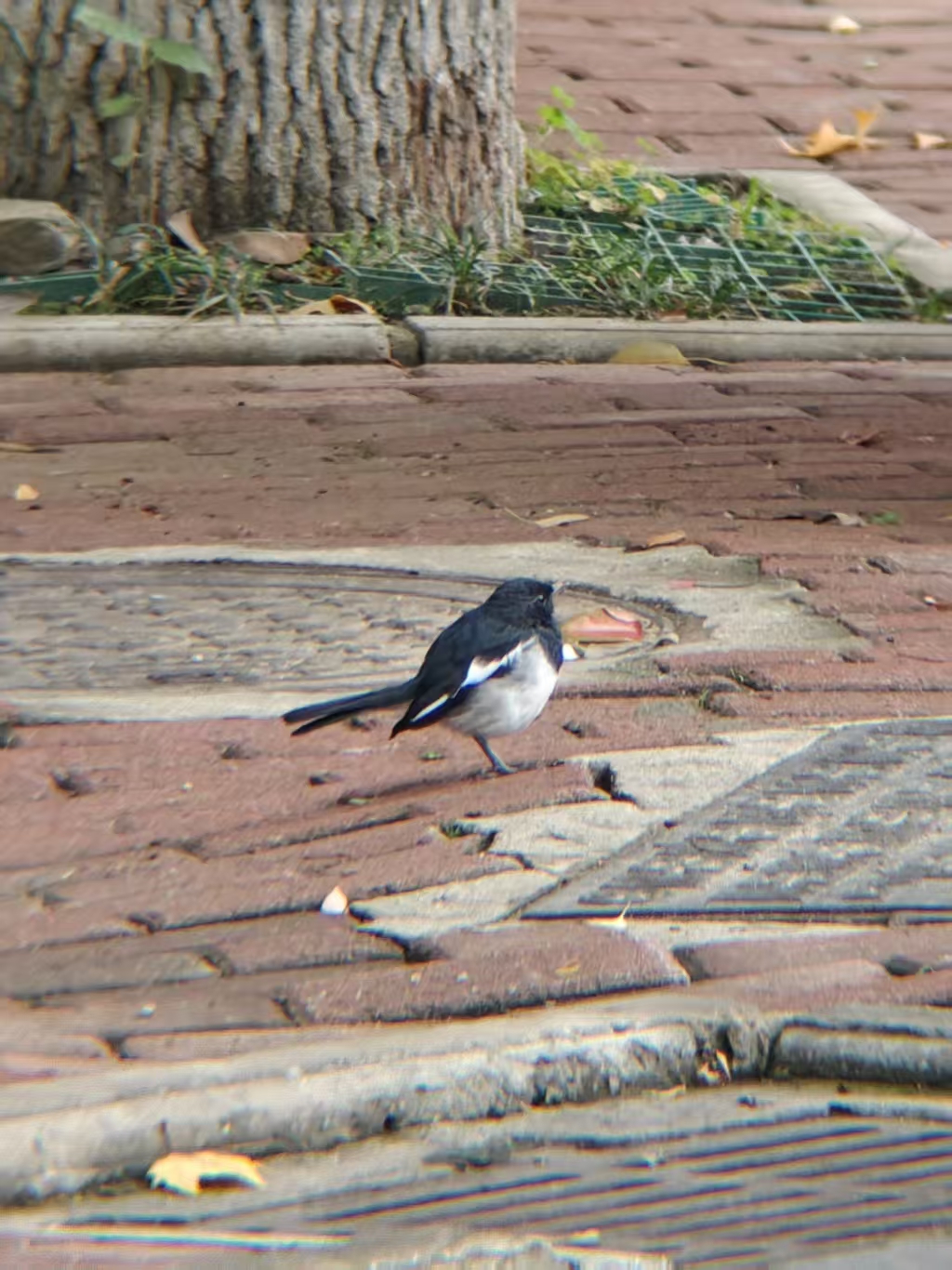 5c28b6894cdc97931b9278925186d332.jpg|320