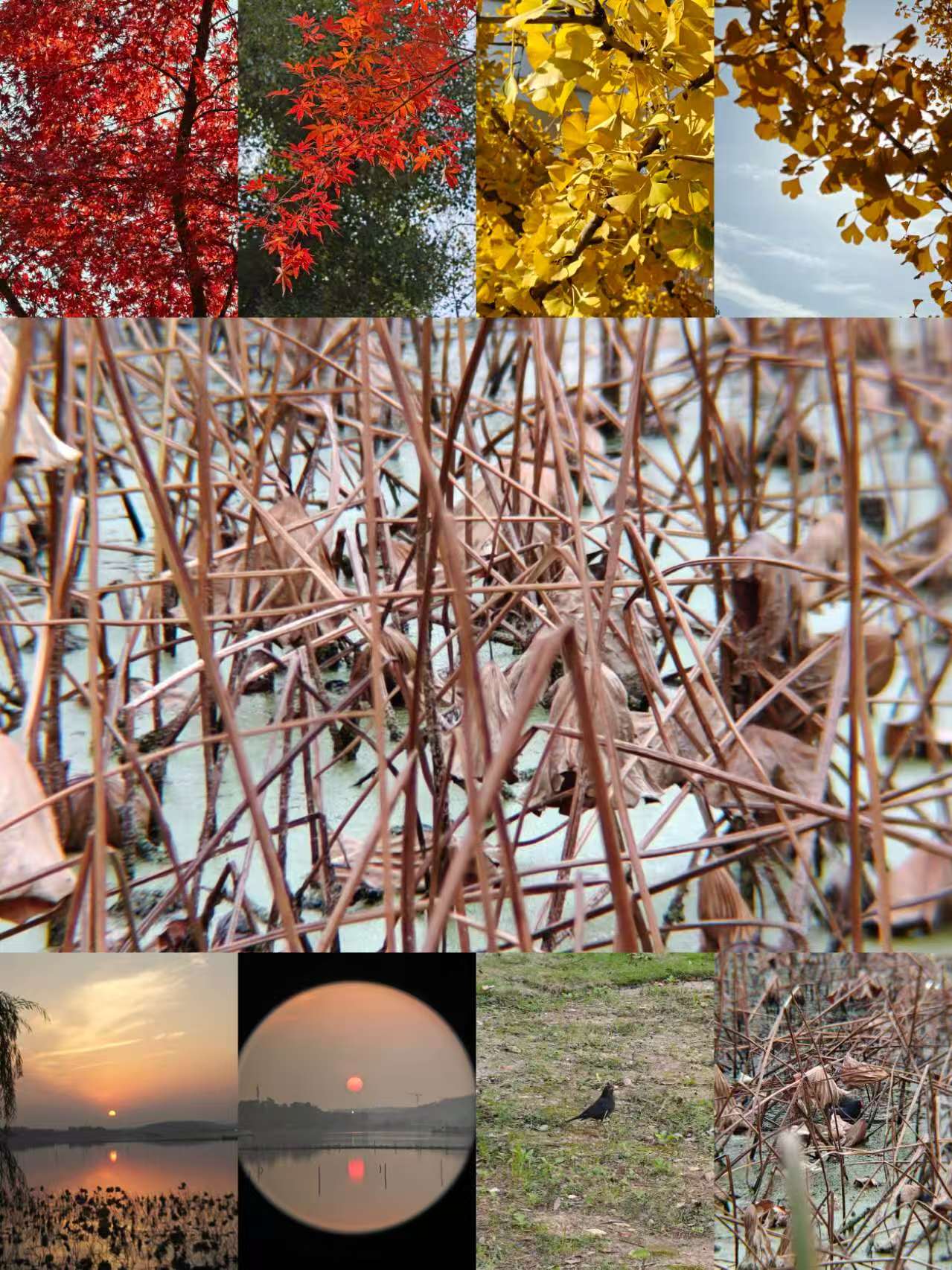 fb741fcccffd29505d967b29663f5eea.jpg|320