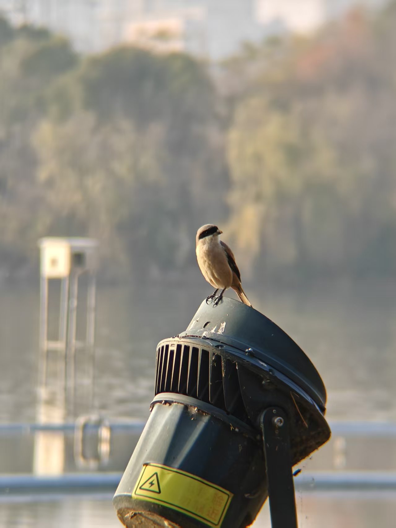 def383c49437a8a22554e42c6a4cd2e2.jpg|420