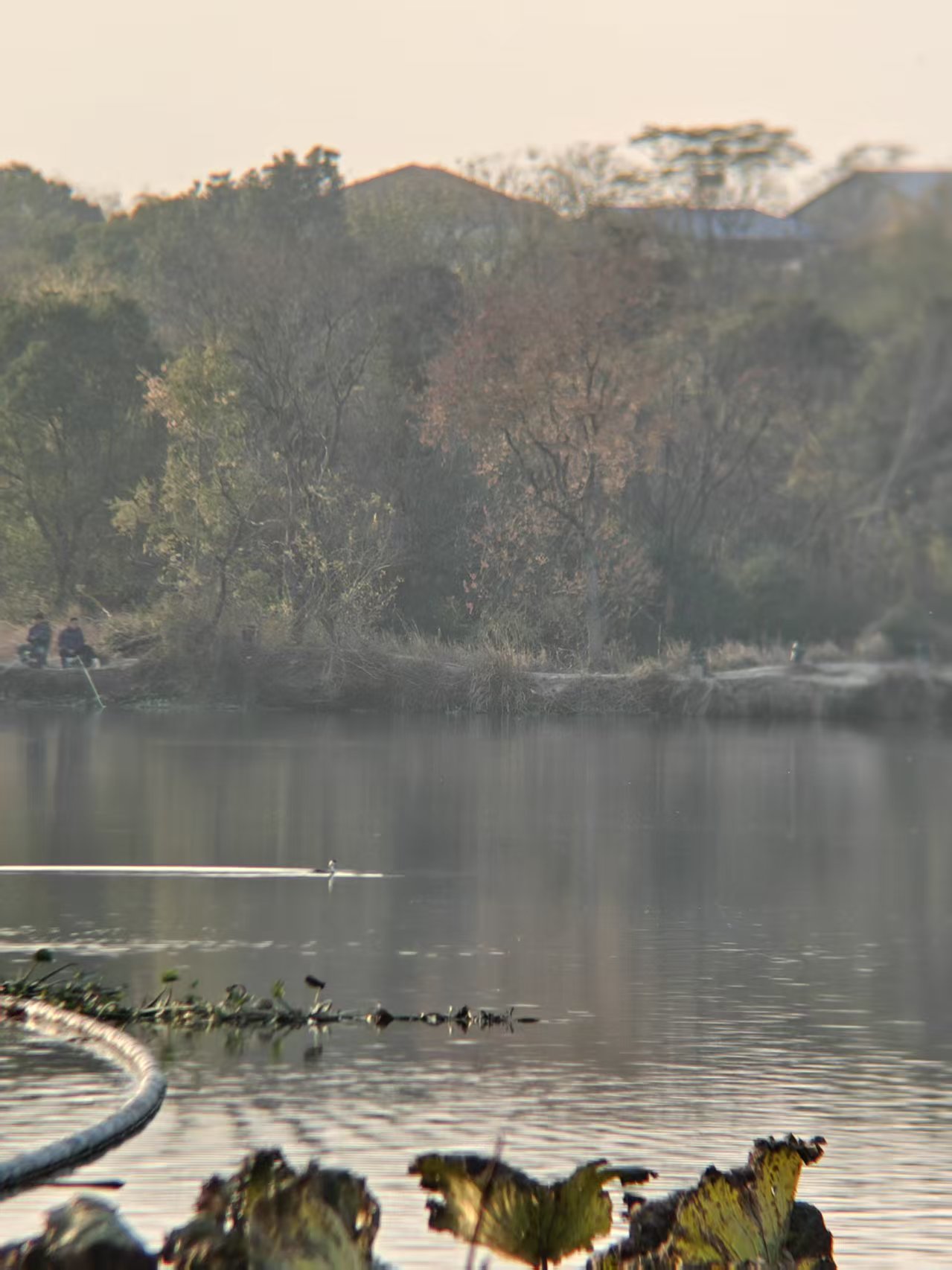 184b1b6f441f77a879e95646e7c3ad63.jpg|420