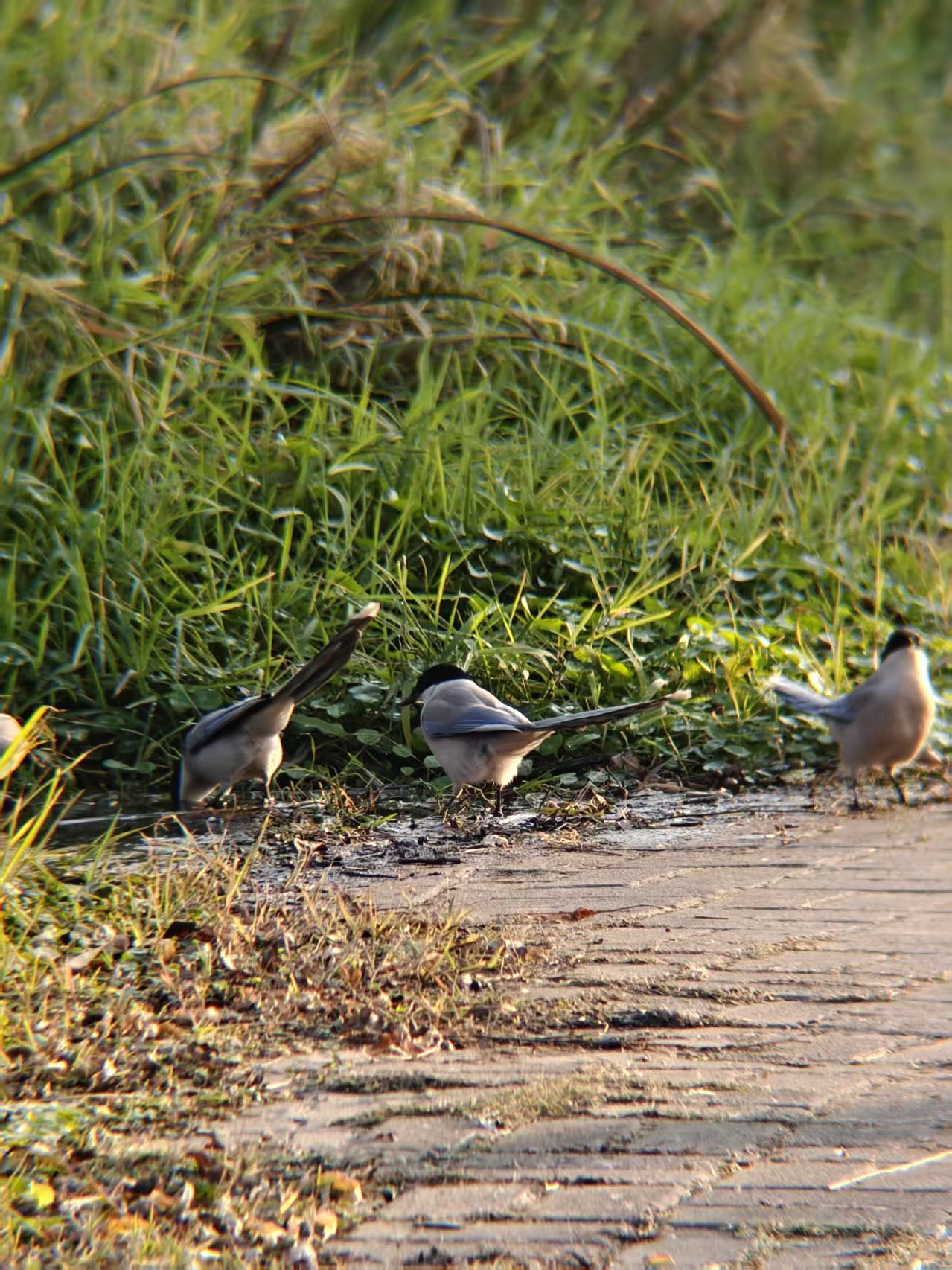 8ab2f2f504b1db8915845d8b7d4f2025.jpg|420