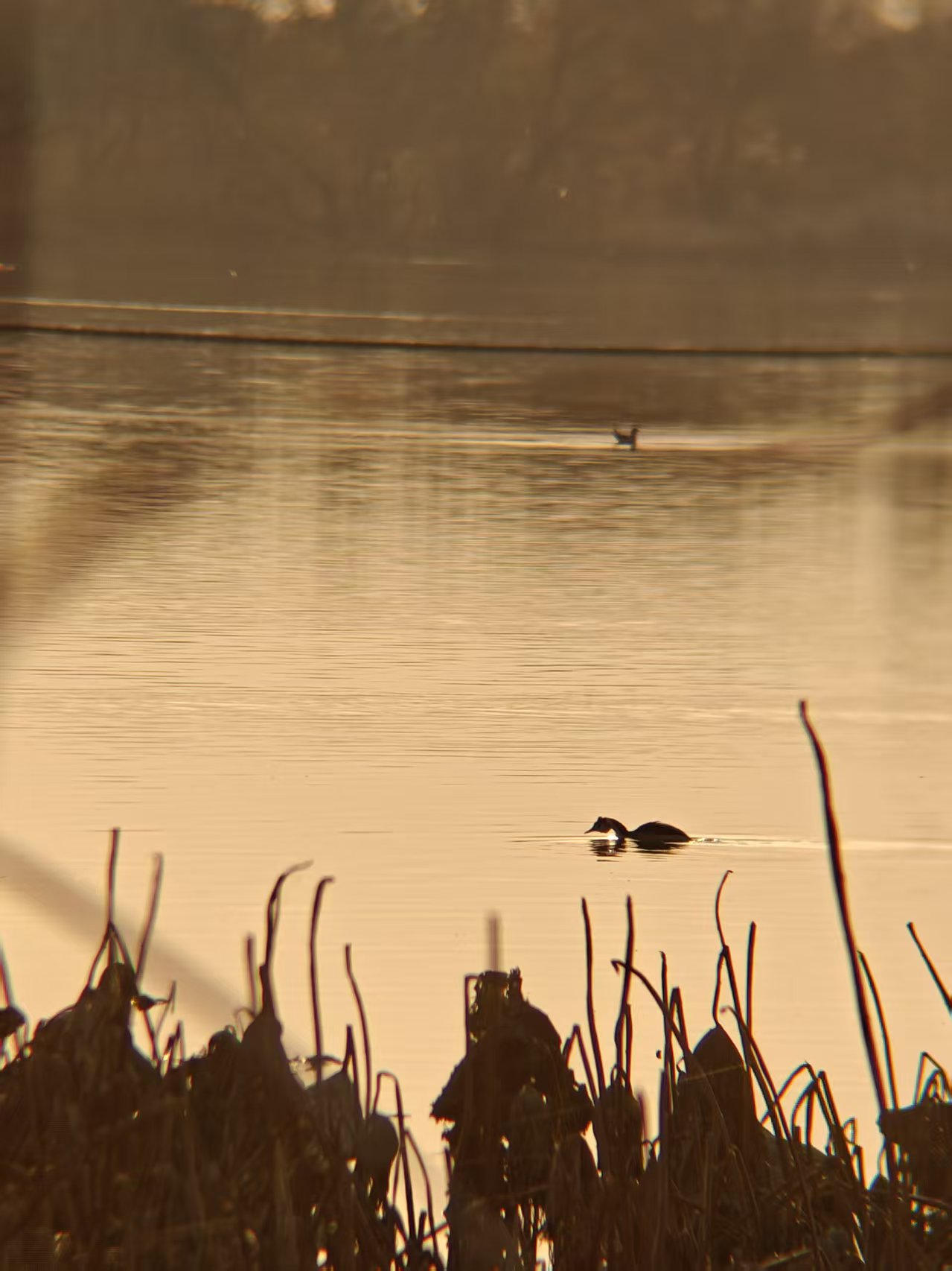 8c74377b00350a8c0ca2a53e4fd026fc.jpg|420