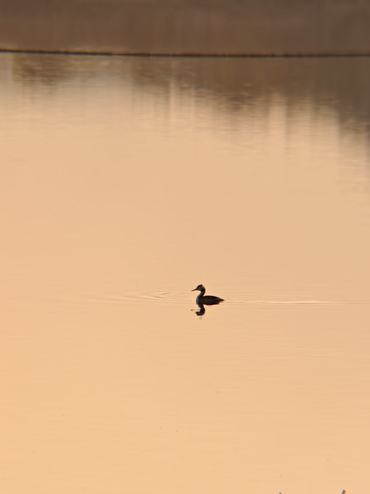 a5b4212bc79c41765882234e1fc030ba.jpg|420