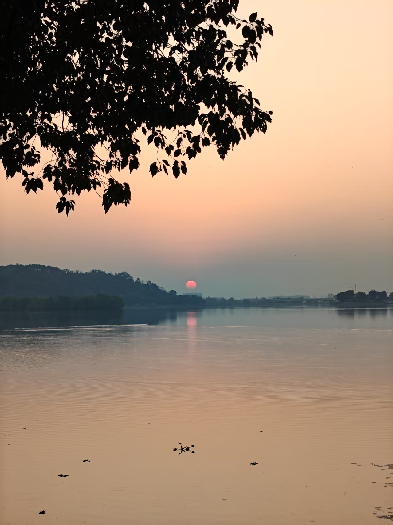 4916e8b2cb73272b9de661ba8dddf8ec.jpg|420