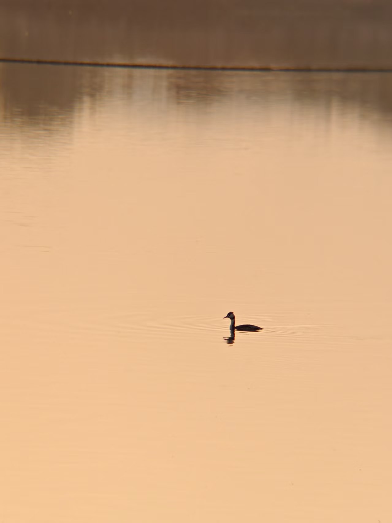 d43b5723b78c22d5a1203311ab4af9c4.jpg|420