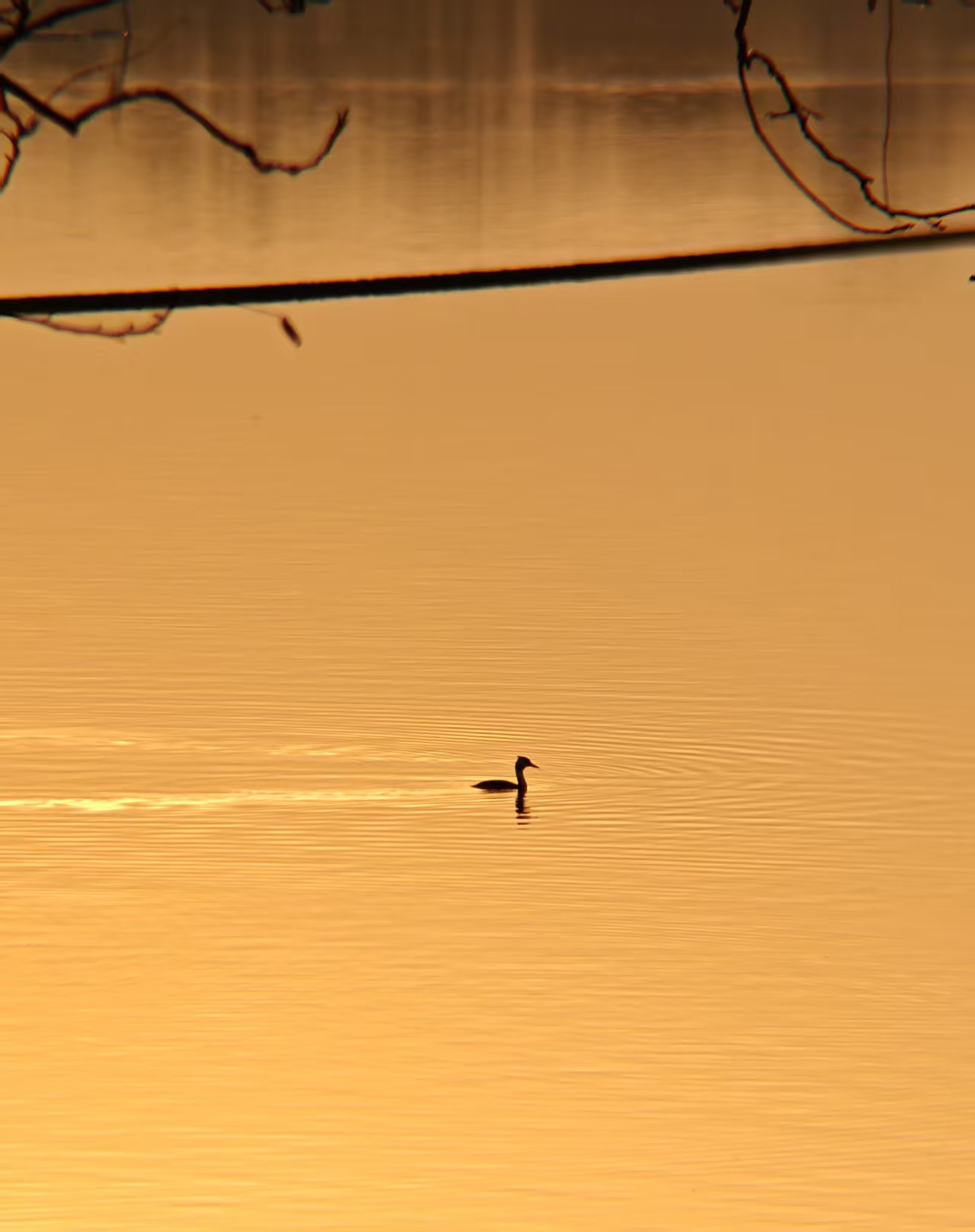 dabc8137e497053f9954623548f916d1.jpg|420