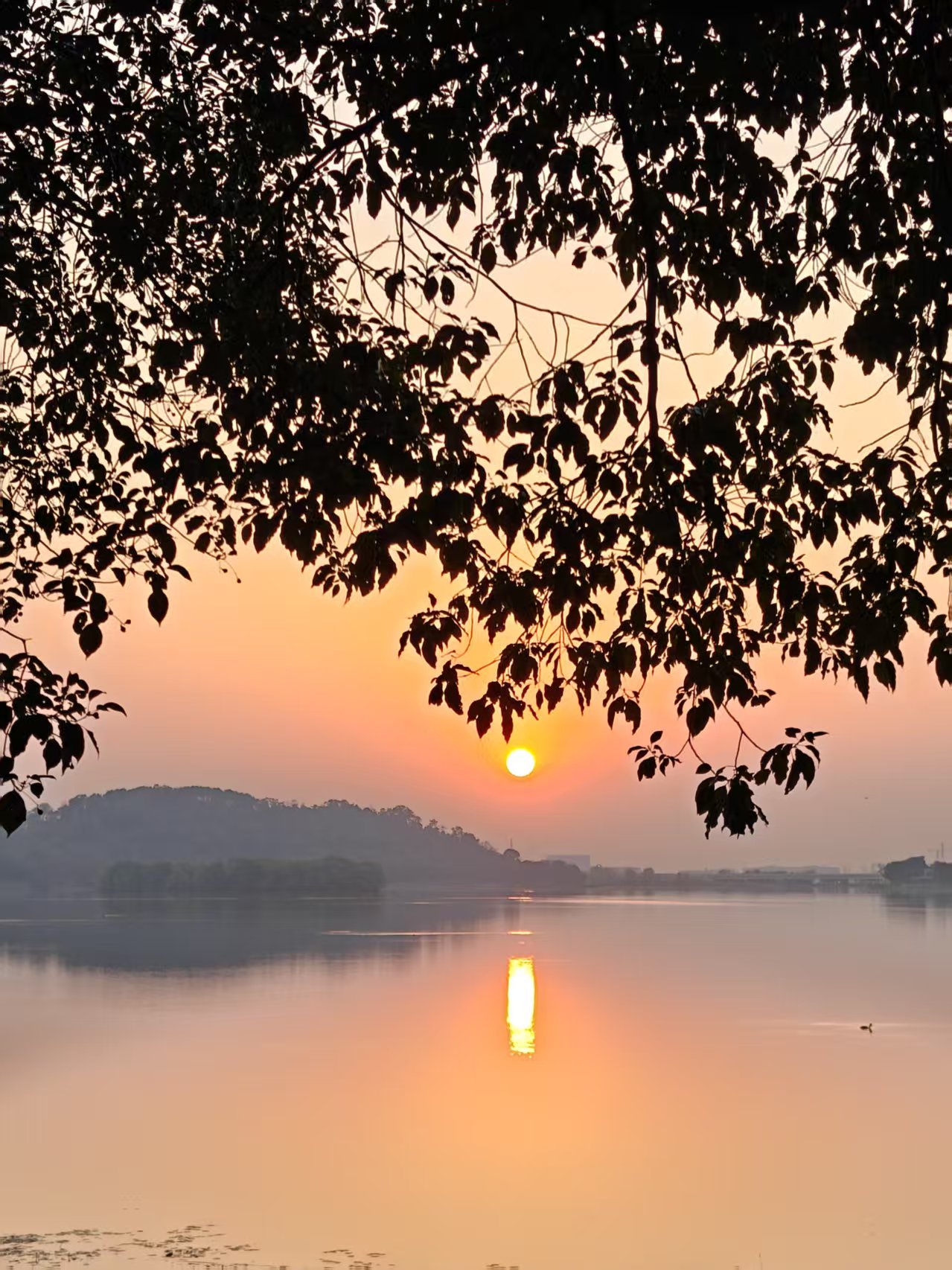 56f91e1e6d6532d09211cd51f411b76f.jpg|420