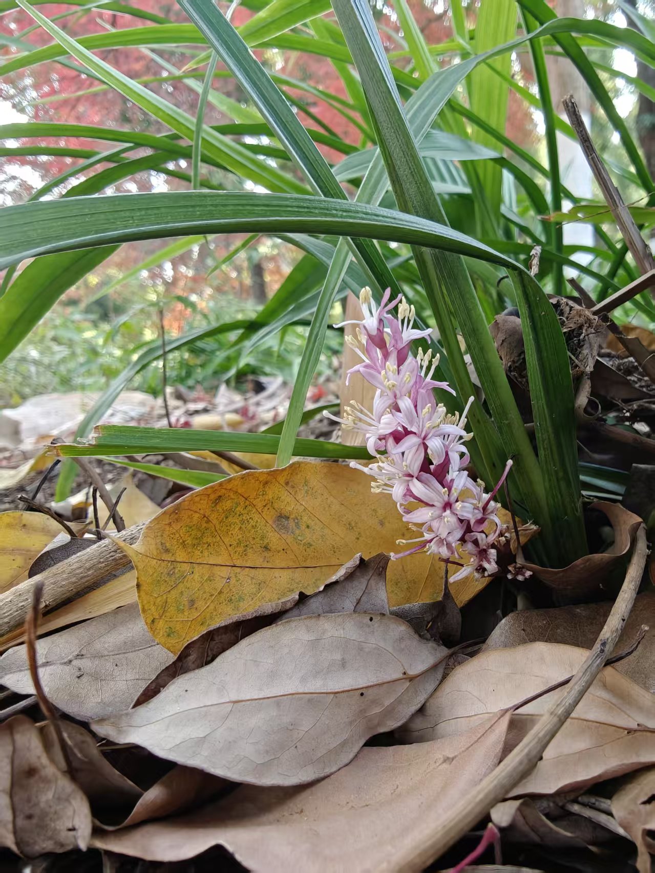 115a431eb9dcd73436935abbbfd27e99.jpg|420